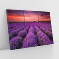 Obraz na płótnie 120x80 - Lawenda: polne zauroczenie - lawenda, kwiaty