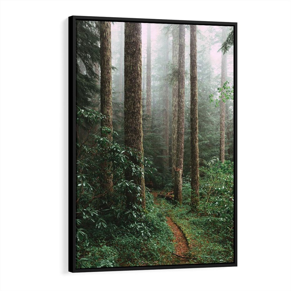 Obraz w ramie 70x100 - Mgliste Marzenia - artystyczna fotografia, las - rama czarna