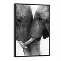 Obraz w ramie 50x70 - Spotkanie Mądrości - fotografia czarno biała, dwa słonie - rama czarna