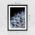 Plakat w ramie 30x40 - Makro piękno dmuchawców - makro, dmuchawce - rama czarna