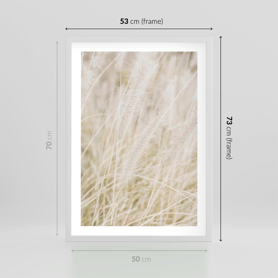 Plakat w ramie 50x70 - Białe Trawy Pampas - suche trawy, białe trawy - rama biała