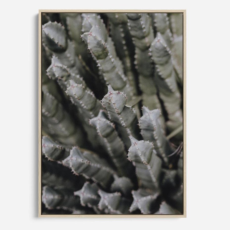 Obraz w ramie 50x70 - Boho kaktusy na pustyni - kaktusy, pustynia - rama drewno