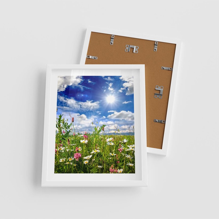 Plakat w ramie 40x50 - Niebiańska łąka pełna kwiatów - łąka, niebo - rama biała