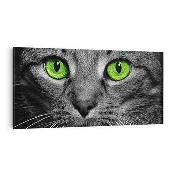 Obraz na płótnie 100x50 - Przestreń nautra  doznania - kot, kotek