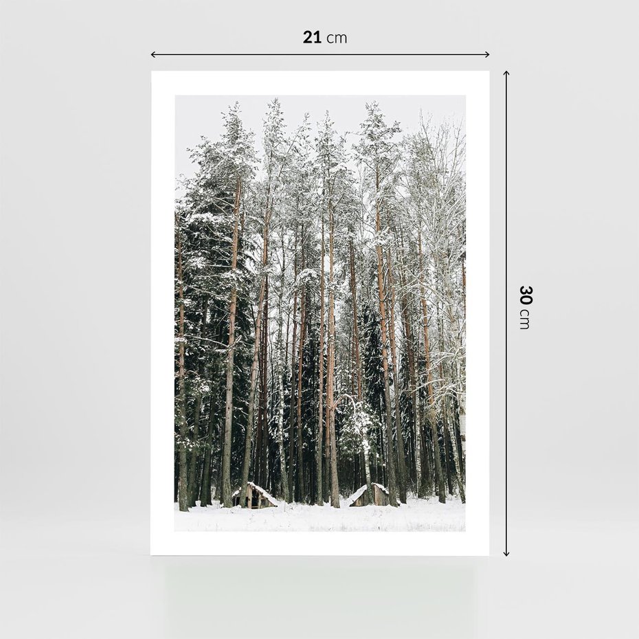 Plakat bez ramy 21x30 - Sypiący Śnieg - las w zimie, drzewa pod śniegiem