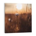 Obraz na płótnie 50x50 - Spokój łąki pod zachodem słońca - zachód, słońca