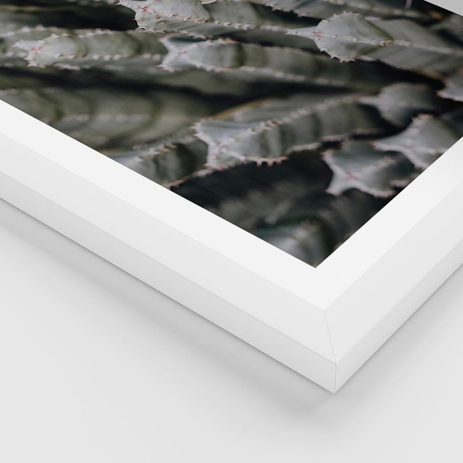 Plakat w ramie 30x40 - Oaza Natury - sukulenty, kaktusy - rama biała