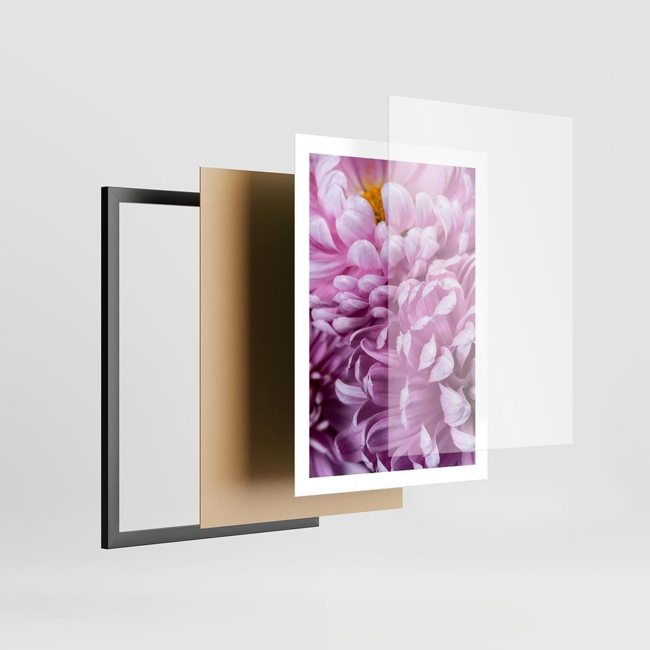 Plakat w ramie 50x70 - Fioletowy zawrót głowy - kwiat, różowy kwiat - rama czarna