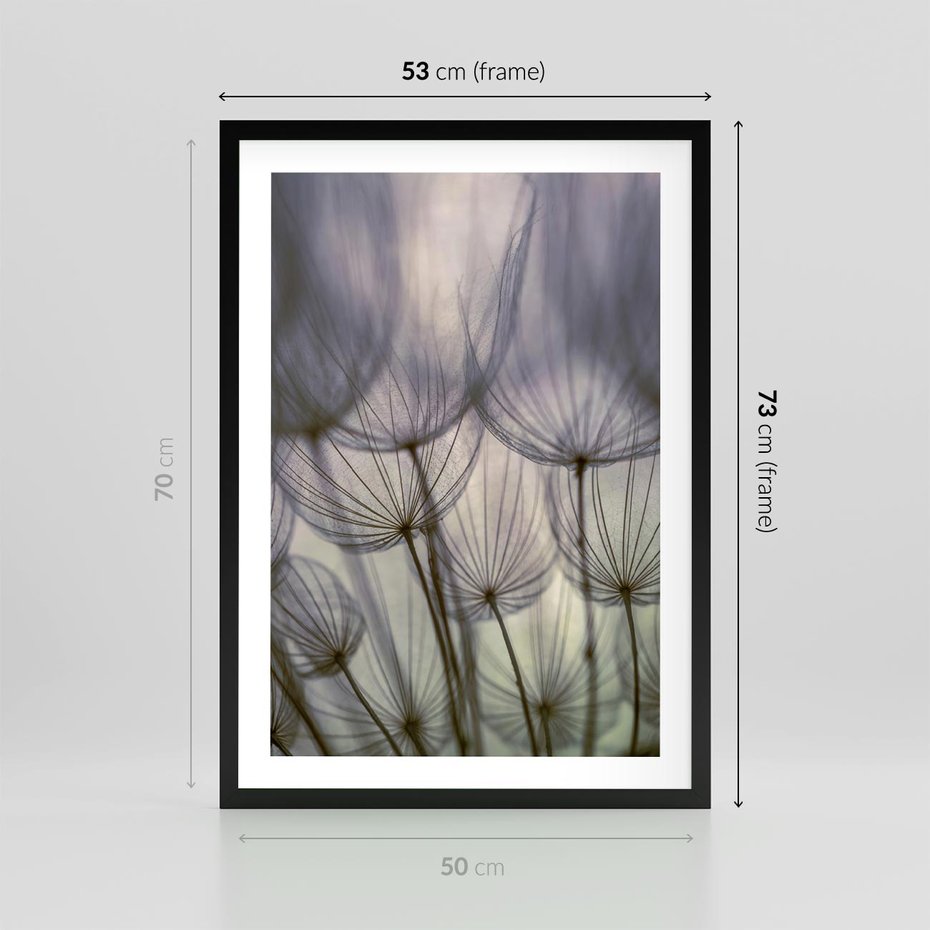 Plakat w ramie 50x70 - Makro dmuchawiec - piękno drobnych detali - dmuchawce, makro - rama czarna