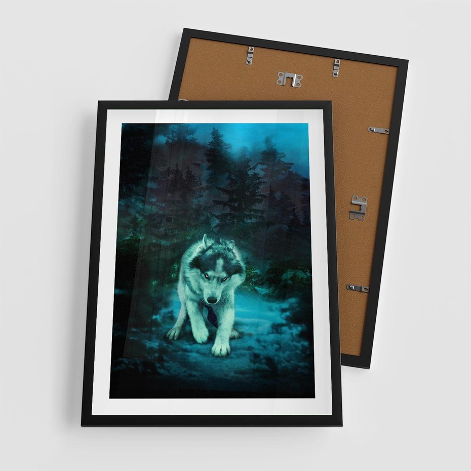 Plakat w ramie 50x70 - Siła i wdzięk natury - wilk, husky - rama czarna