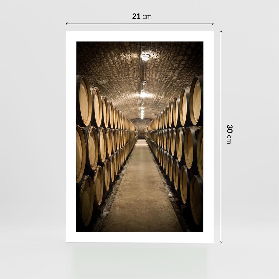 Plakat bez ramy 21x30 - Winniczka - winnica, beczki