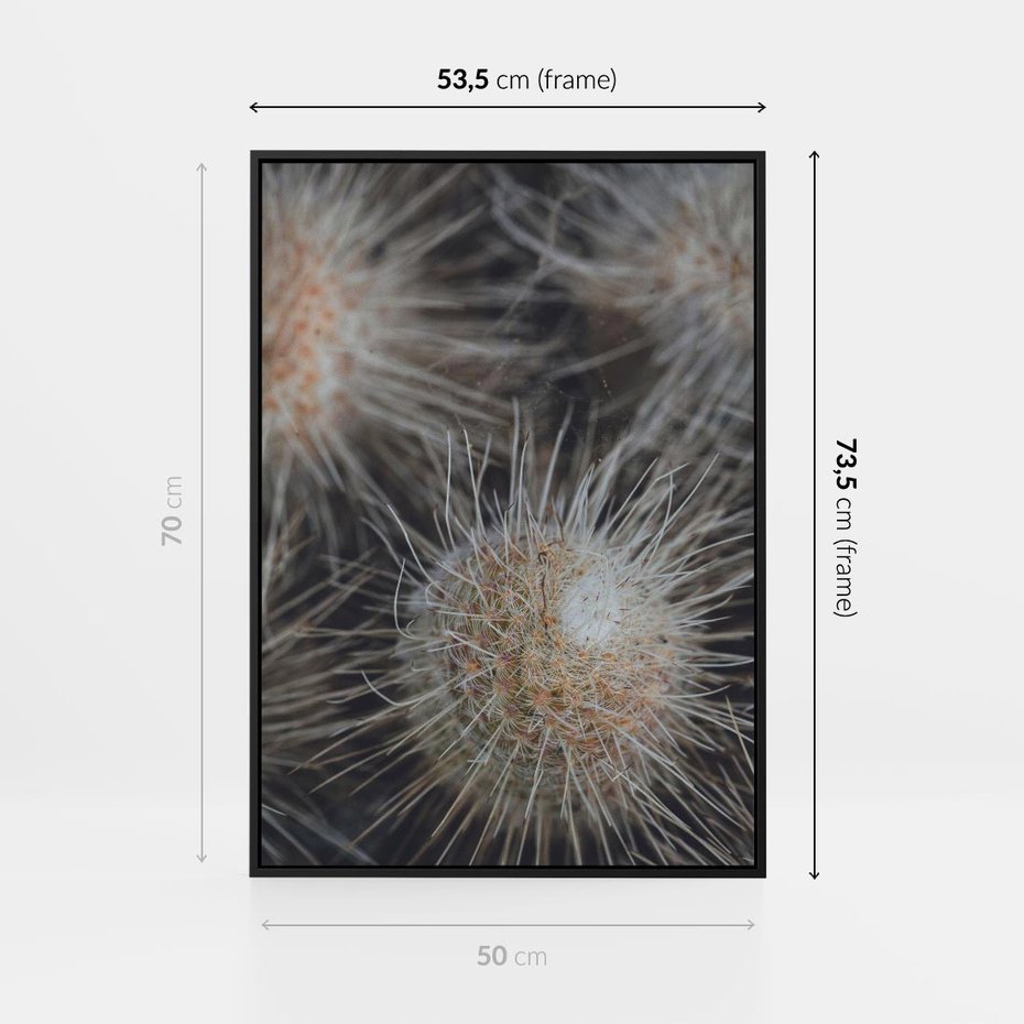 Obraz w ramie 50x70 - Ulotna Piękność Natury - makro, dmuchawce - rama czarna