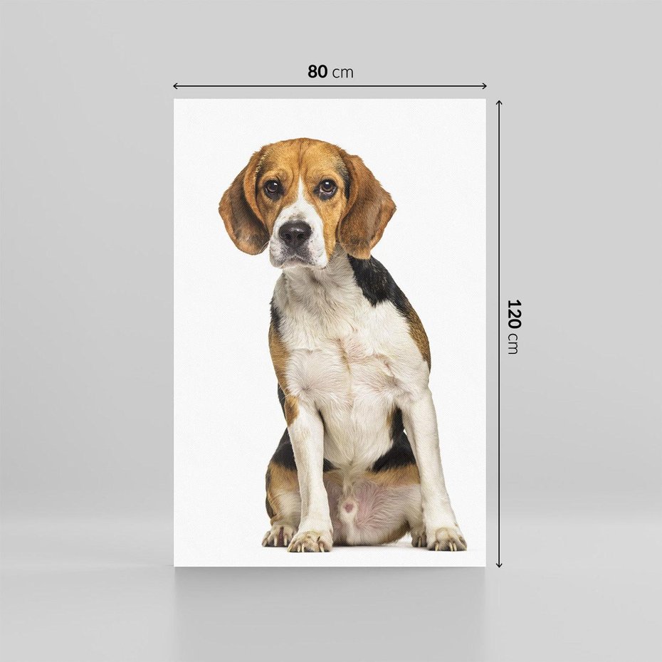 Obraz na płótnie 80x120 - Wierność i radość - pies, piesek