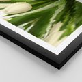 Plakat w ramie 40x50 - Białe Piękno - białe, tulipany - rama czarna