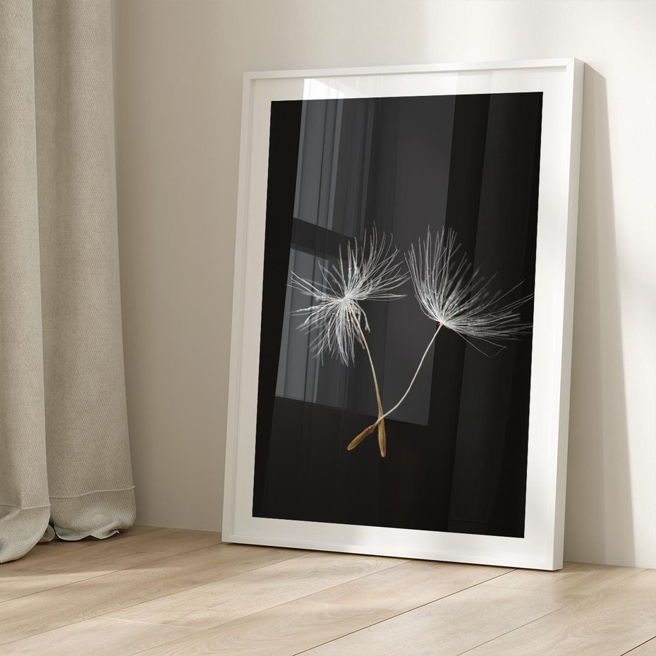 Plakat bez ramy 30x40 - Delikatność Wiatru - dmuchawce, makro