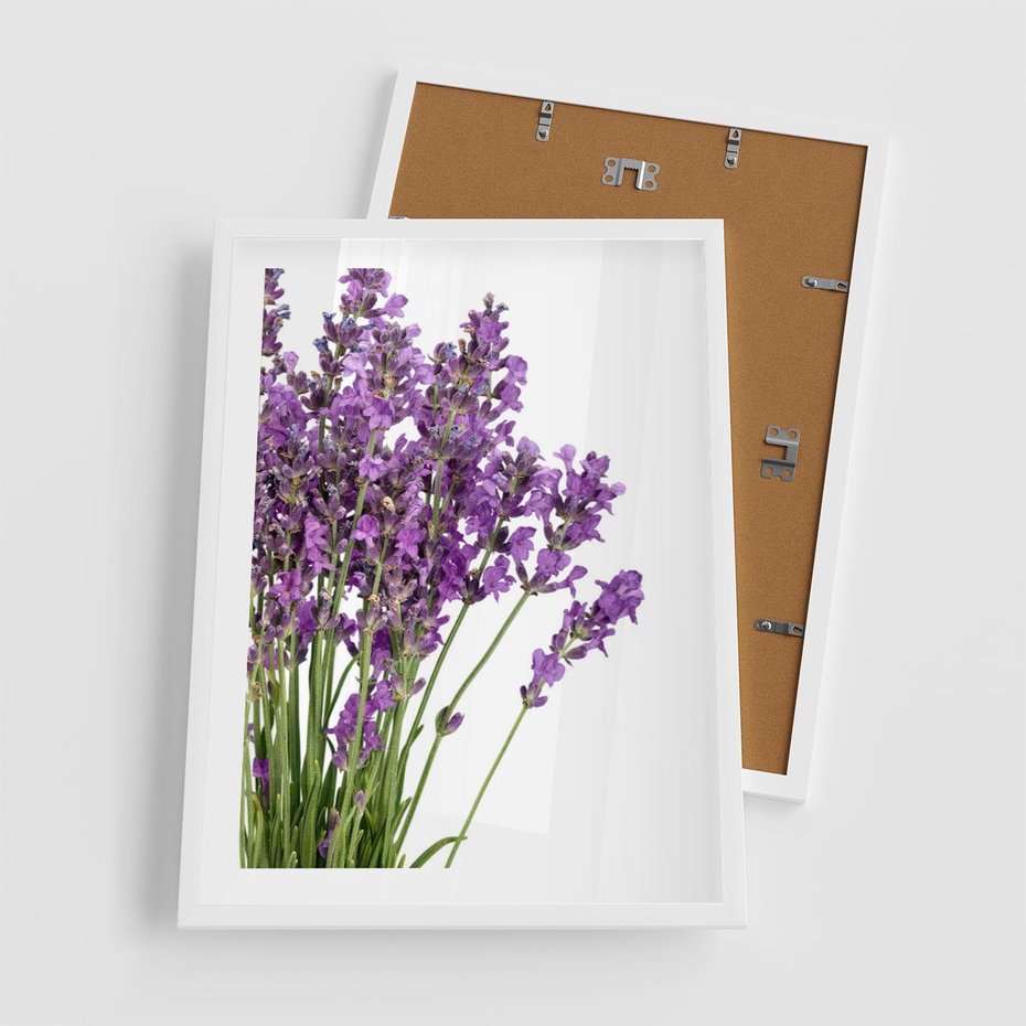 Plakat w ramie 50x70 - Pola lawendy w pełnym rozkwicie - lawenda, kwiaty - rama biała