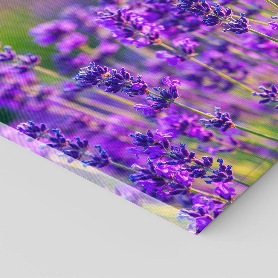 Obraz na płótnie 100x70 - Zaklęta lawenda - lawenda, kwiaty
