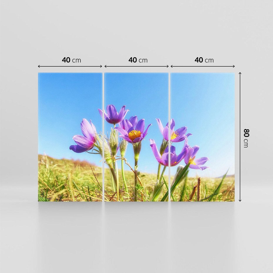 Obraz na płótnie 120x80 - Kwiatowa siła łąki - kwiaty, łąka