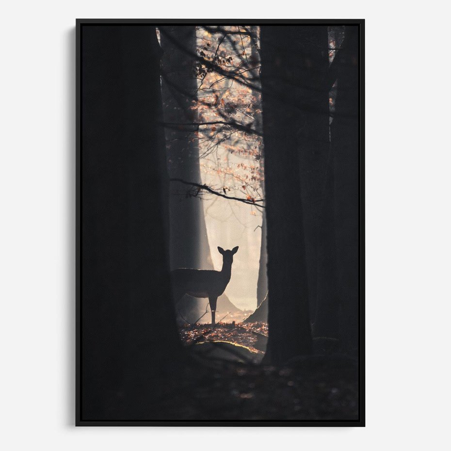 Obraz w ramie 70x100 - Sarnie Skoki - zdjęcie, klimatyczny las - rama czarna