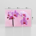 Obraz na płótnie 120x80 - Elegancka orchidea w pełnym rozkwicie - orchidea, kwiaty