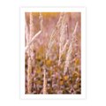 Plakat bez ramy 21x30 - Sucha Trawa w Sierpniu - trawy, łąka