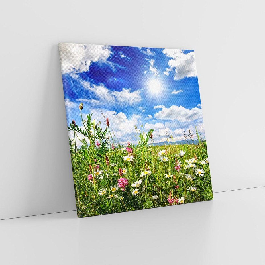 Obraz na płótnie 30x30 - Niebiańska łąka pełna kwiatów - łąka, niebo