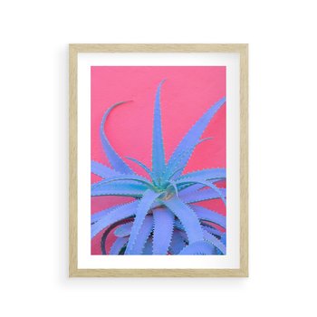 Plakat w ramie 30x40 - Piękno Pustyni - kaktusy, liście - rama drewno