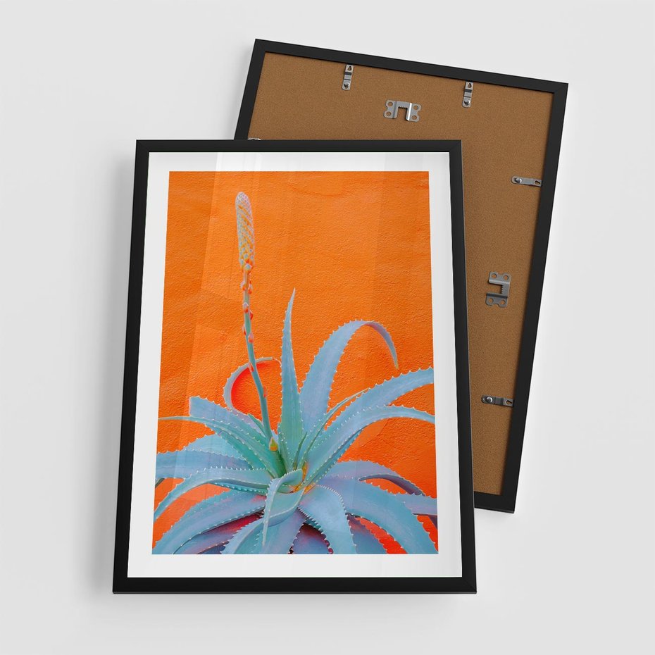 Plakat w ramie 50x70 - Naturalna Harmonia - kaktusy, liście - rama czarna