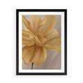 Plakat w ramie 50x70 - Kwiaty malowane olejem - eksplozja kolorów - kwiaty, malowane - rama czarna