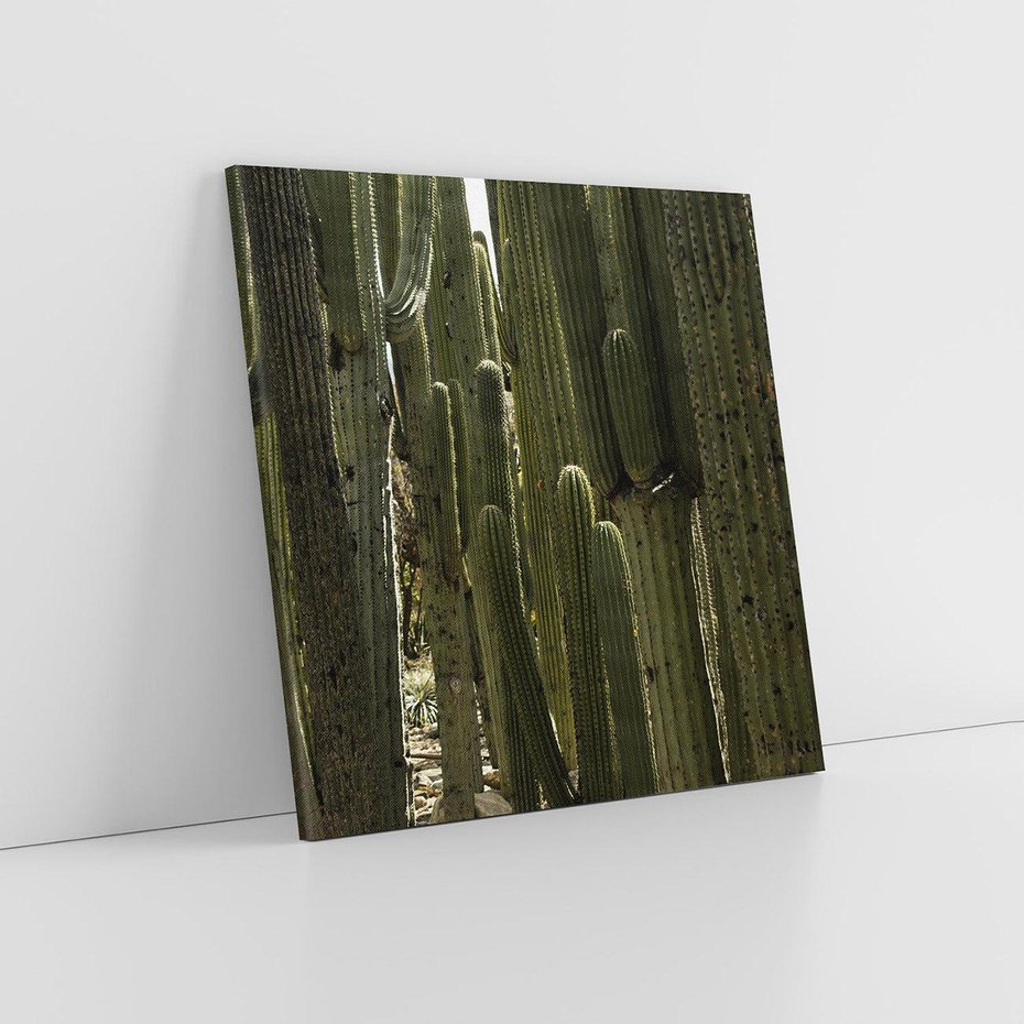 Obraz na płótnie 70x70 - Wyjątkowy Klimat Boho - kaktusy, pustynia