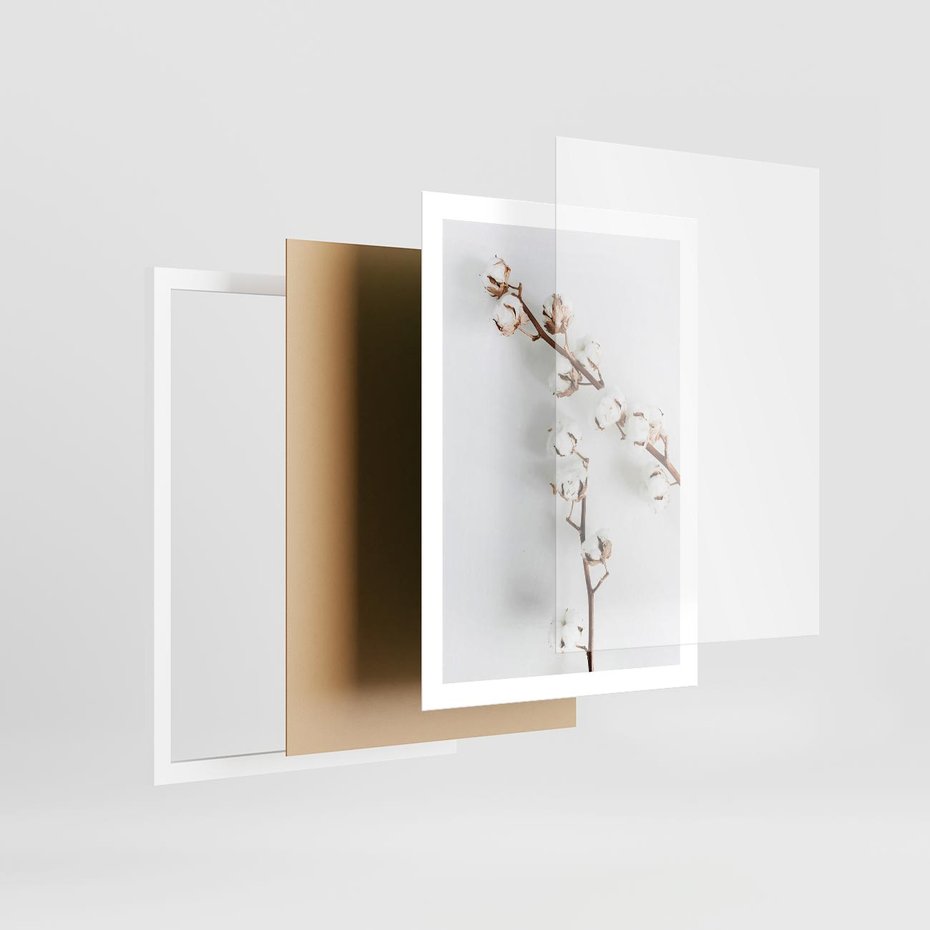 Plakat w ramie 50x70 - Gałęzie Bawełny na Białym Tle - gałęzie bawełny na białym tle, minimalizm - rama biała