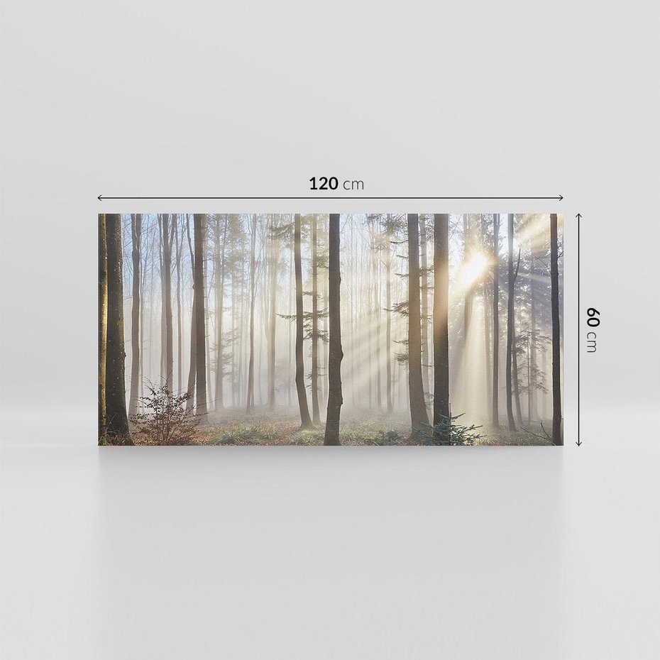 Obraz na płótnie 120x60 - Magiczne zaklęcie: Las pełen drzew - las, drzewa