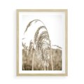 Plakat w ramie 50x70 - Ujęcie Suchych Traw - suche trawy, zbliżenie - rama drewno