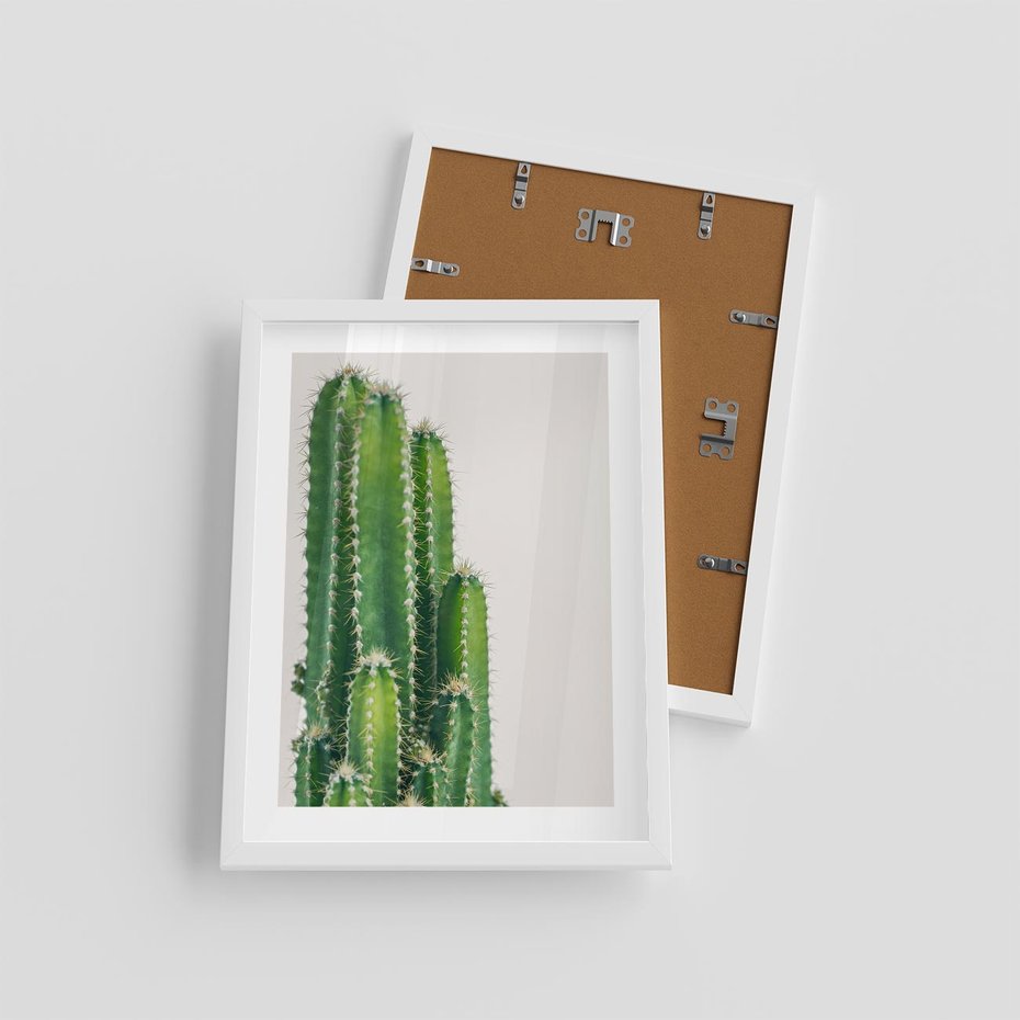 Plakat w ramie 30x40 - Minimalistyczne Kaktusy na Białym Tle - kaktusy, minimalistyczna fotografia - rama biała