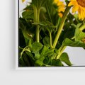 Obraz w ramie 50x50 - Słoneczna Radość - fotografia, żółte słoneczniki - rama biała