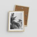 Plakat w ramie 30x40 - Palmy w Monochromii - palmy, tropikalne palmy - rama drewno