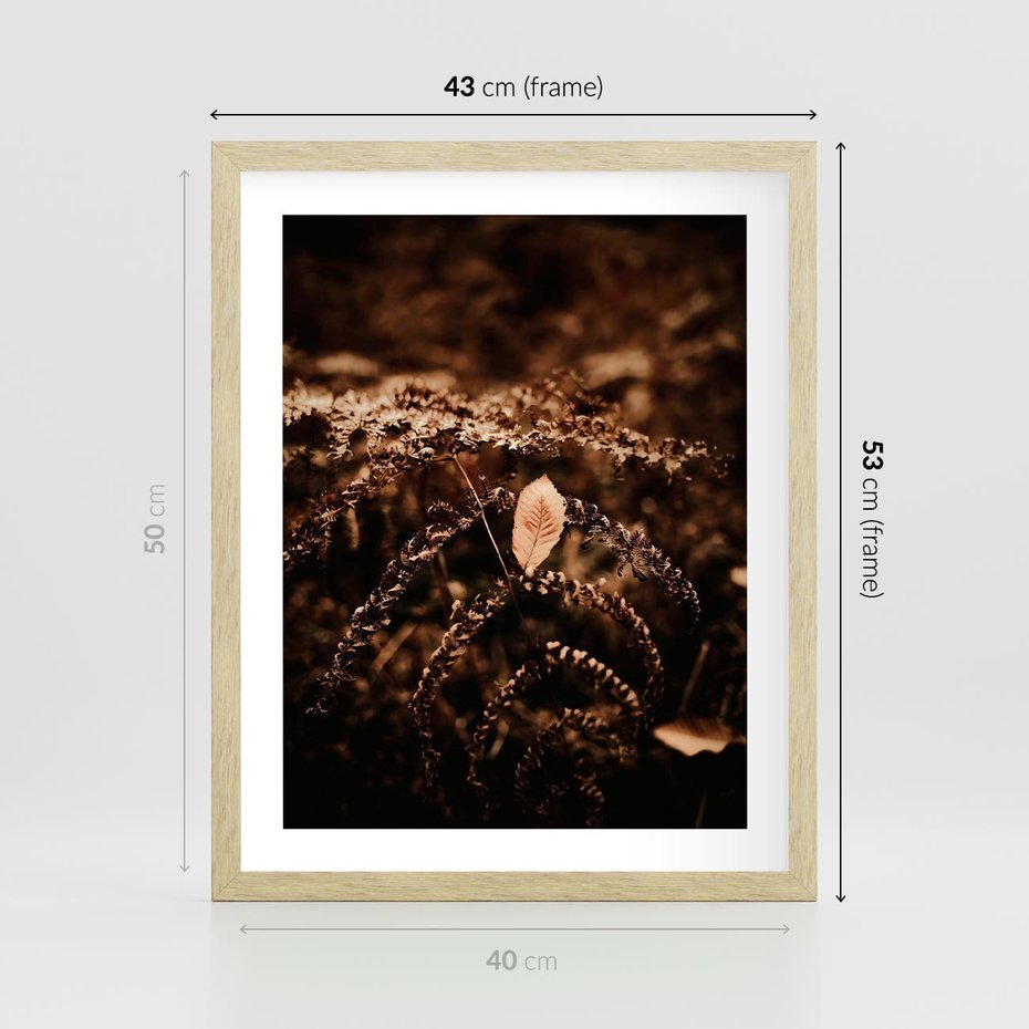 Plakat w ramie 40x50 - Gałęzie i Liść w Brązowej Tonacji - suche gałęzie, liść - rama drewno