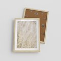 Plakat w ramie 30x40 - Białe Trawy Pampas - suche trawy, białe trawy - rama drewno