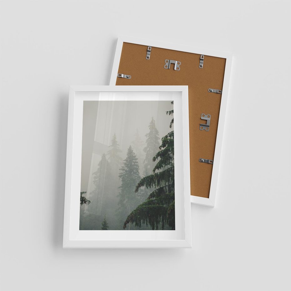 Plakat w ramie 30x40 - Mglista przemiana lasu - las, mgła - rama biała