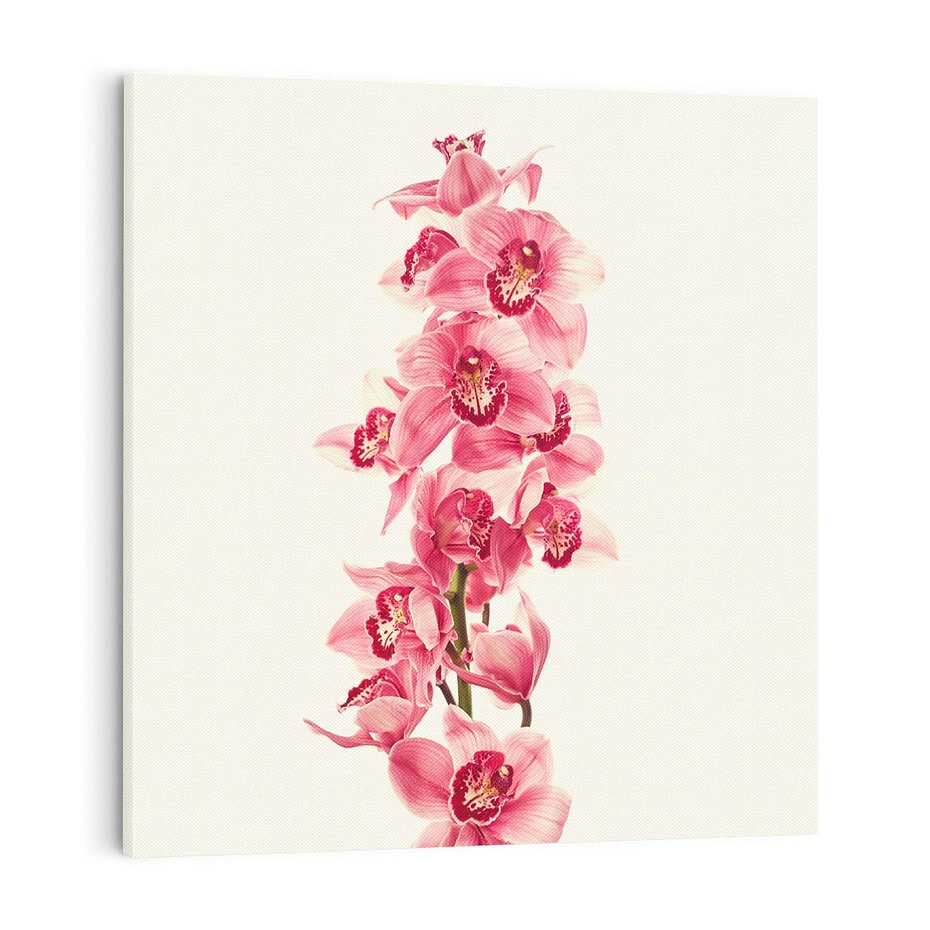 Obraz na płótnie 70x70 - Orchidea w spa - relaks - orchidea, spa