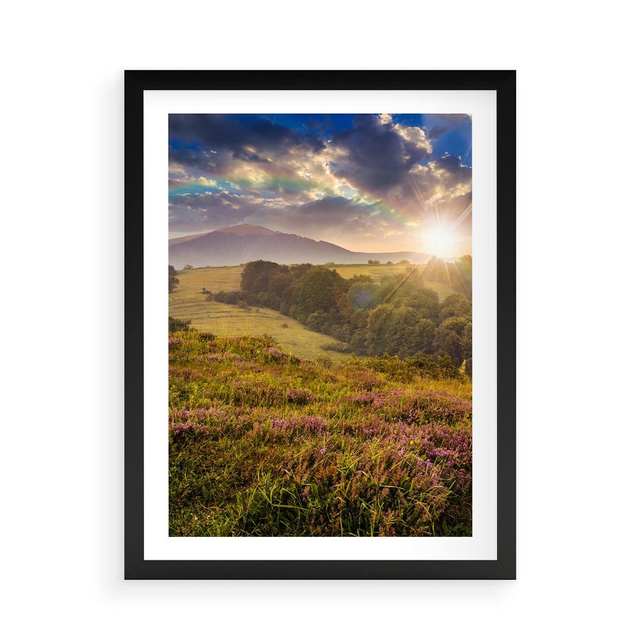 Plakat w ramie 50x70 - Pejzaż na łące - pejzaż, łąka - rama czarna