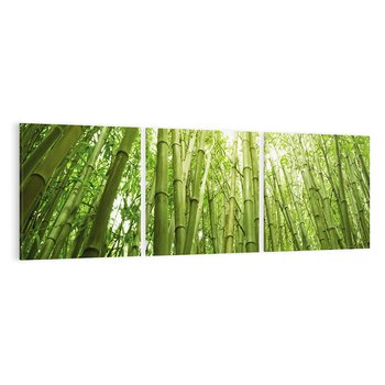 Obraz na płótnie 90x30 - Siła Natury - drzewa, las