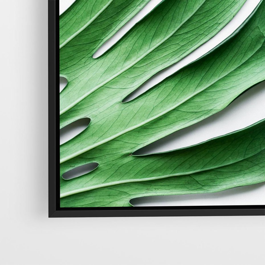 Obraz w ramie 50x50 - Monstera - Liście Kwiaty - monstera, liście - rama czarna