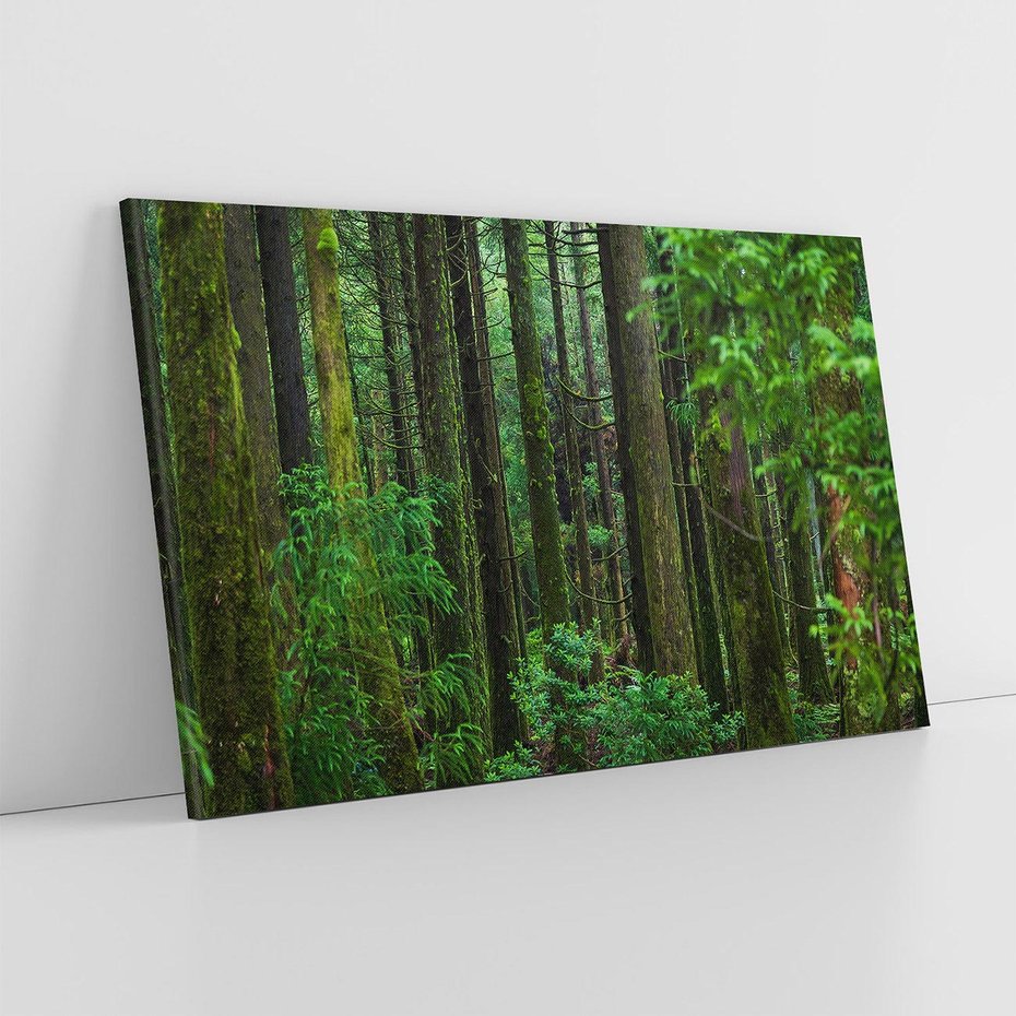 Obraz na płótnie 120x80 - Mistyka leśnej głuszy - las, drzewa