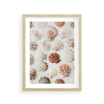 Plakat w ramie 50x70 - Morska Delikatność: Muszelki na Białym Tle - kompozycja, morskie muszelki na białym tle - rama drewno