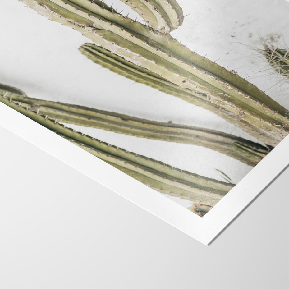 Plakat bez ramy 21x30 - Kaktus w Stylu Boho - kaktus, roślina tropikalna
