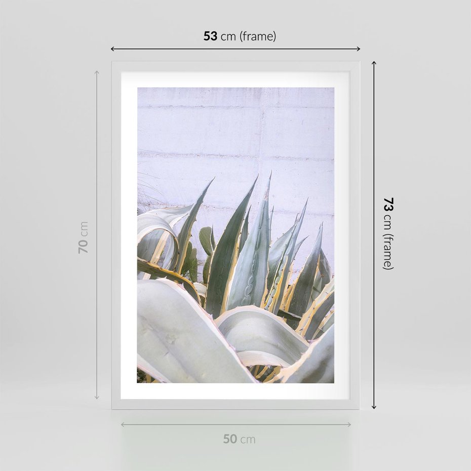 Plakat w ramie 50x70 - Sukulentowe liście - liście, sukulenty - rama biała