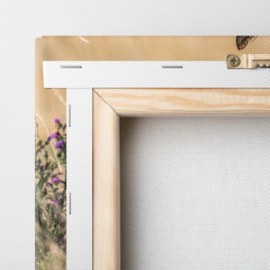 Obraz na płótnie 60x60 - Sarenka na malowniczej łące - sarna, sarenka