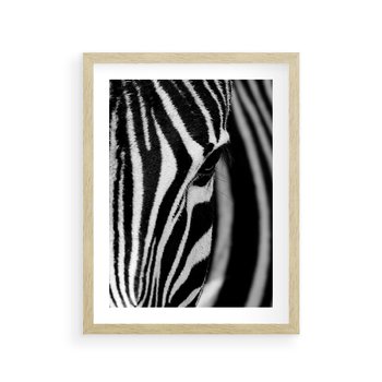 Plakat w ramie 40x50 - Pasy Zebr - zebra, paski - rama drewno
