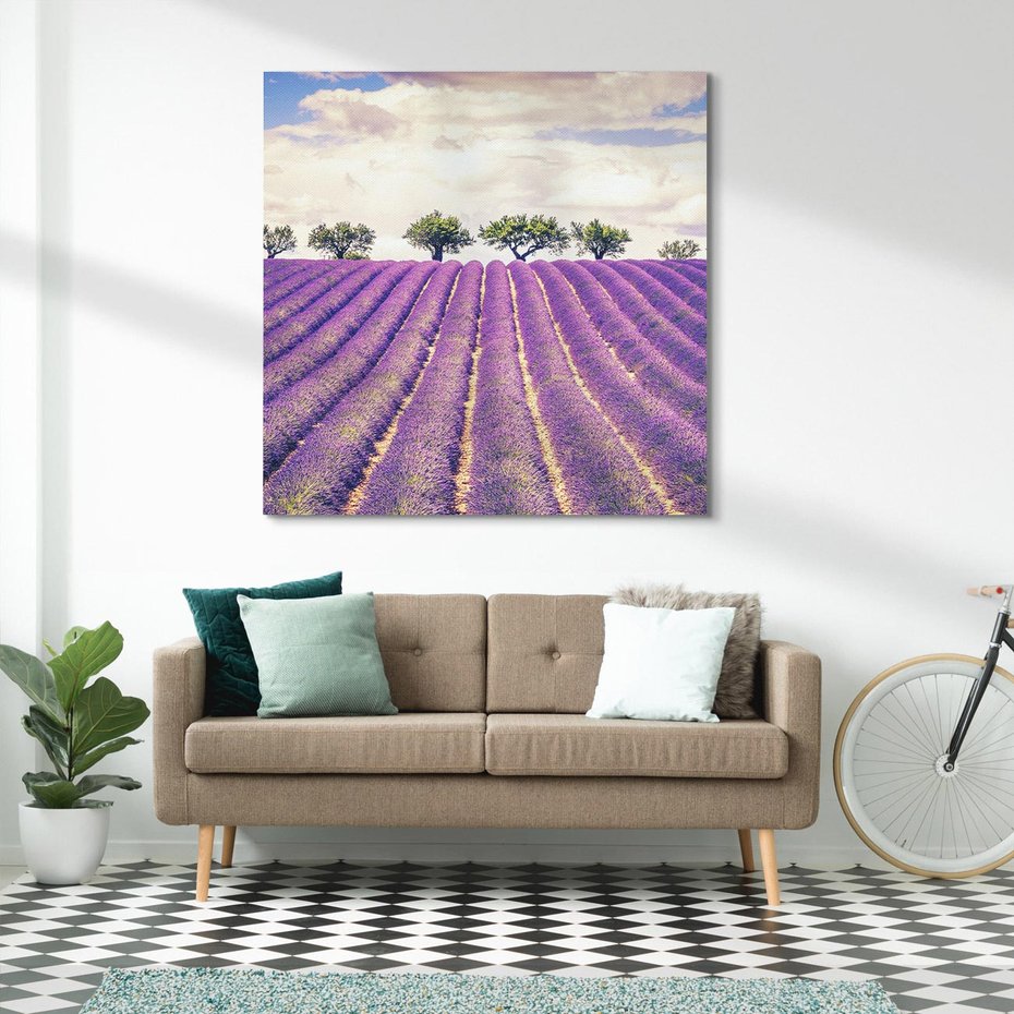 Obraz na płótnie 70x70 - Uroda Lawendy: Kwiatowy Cud Natury - lawenda, kwiaty